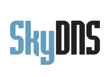 SkyDNS.Бизнес на 10 ПК на 1 год